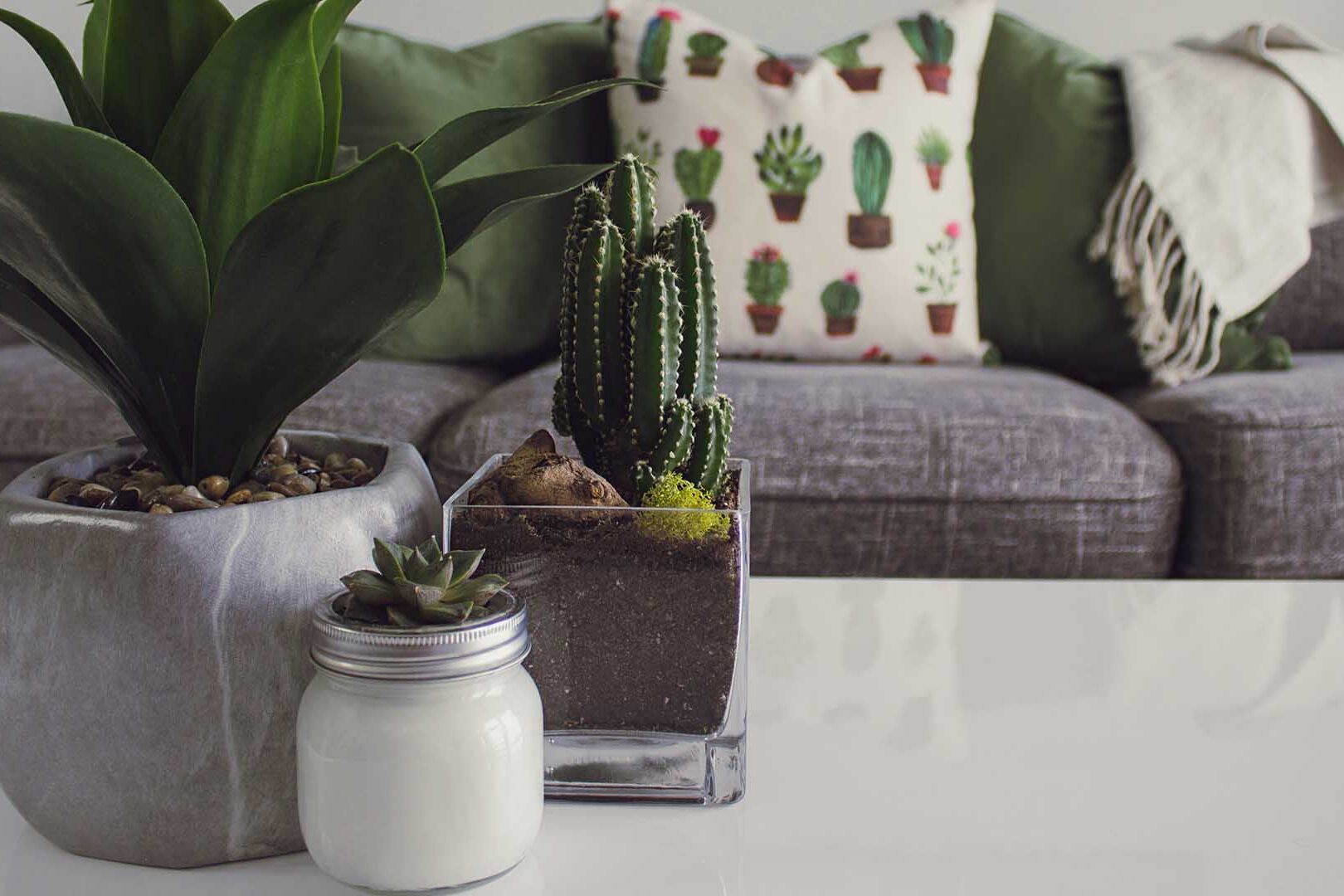 Feng Shui In Interior Design