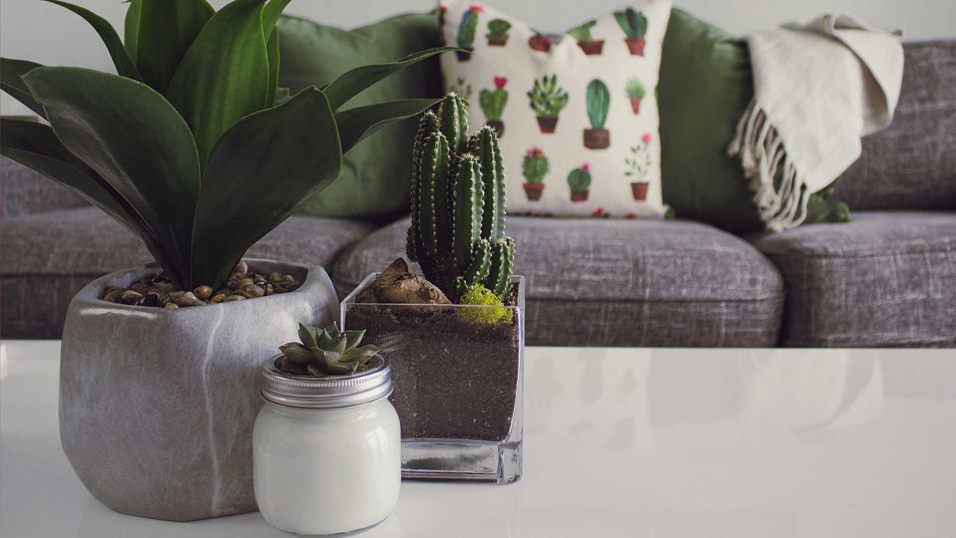 Feng Shui In Interior Design